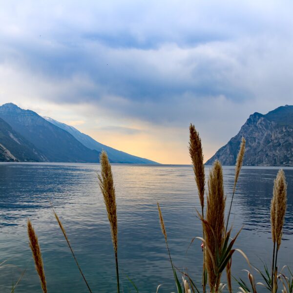 Romantico appartamento in un grande complesso con piscina, campo da tennis e posizione tranquilla sopra il Lago di Garda