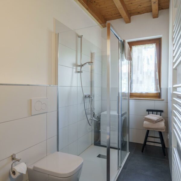 Newly renovated 2-room flat on Lake Garda with balcony, terrace and comfort shower, near Bardolino and Garda